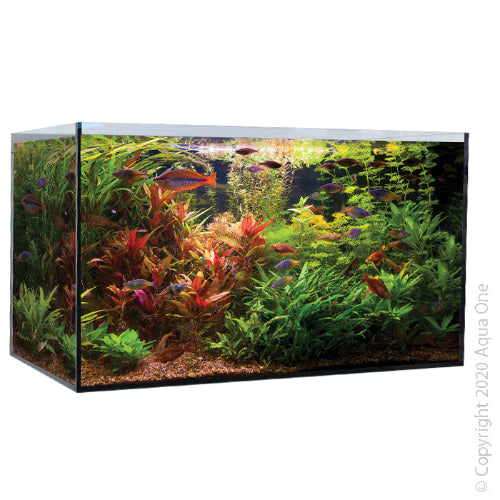 Aquasys 235 Tropical/Plant Aquarium 235L 90L X 55D X 53Cm H - The Chook Barn