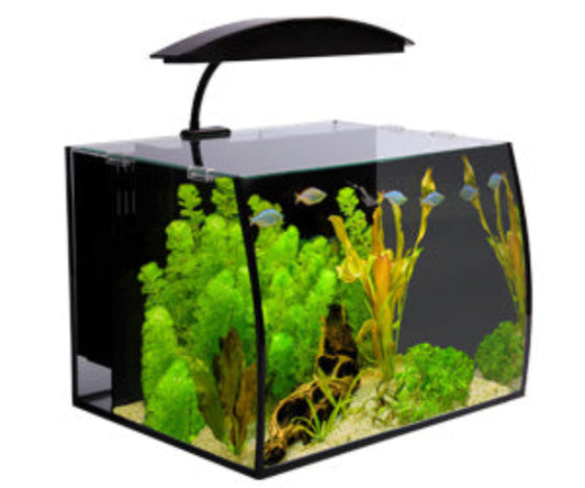 Arc 30 Glass Aquarium 30L 40L X 32.5D X 28Cm H - The Chook Barn