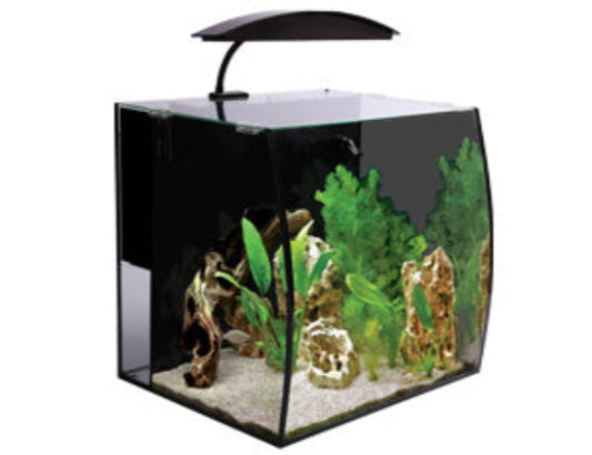 Arc 46 Glass Aquarium 46L 40L X 34.5D X 40Cm H - The Chook Barn