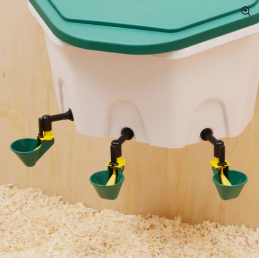 Aviaqua 8L drinker + 3 drinking cups - The Chook Barn