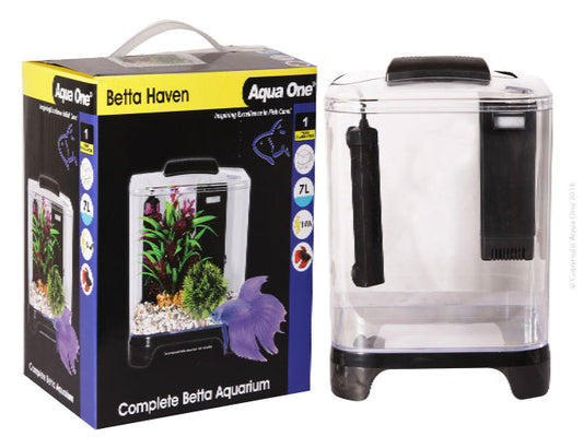 Betta Haven Acrylic Aquarium 7L 22W X 15.5D X 26.5Cm H - The Chook Barn
