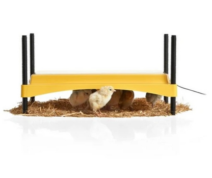 Brinsea EcoGlow Safety 1200 Chick Brooder - The Chook Barn