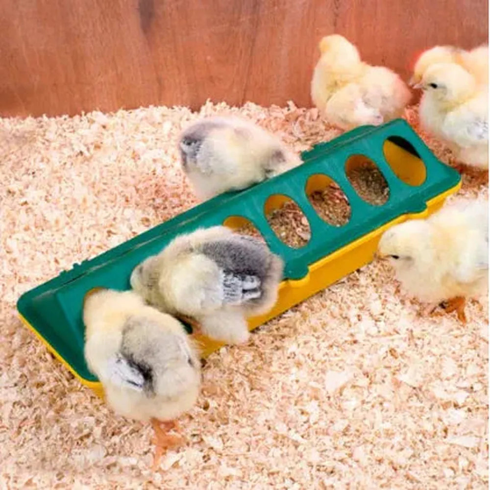 Chick Feeder Trough 300mm 16 Hole - The Chook Barn
