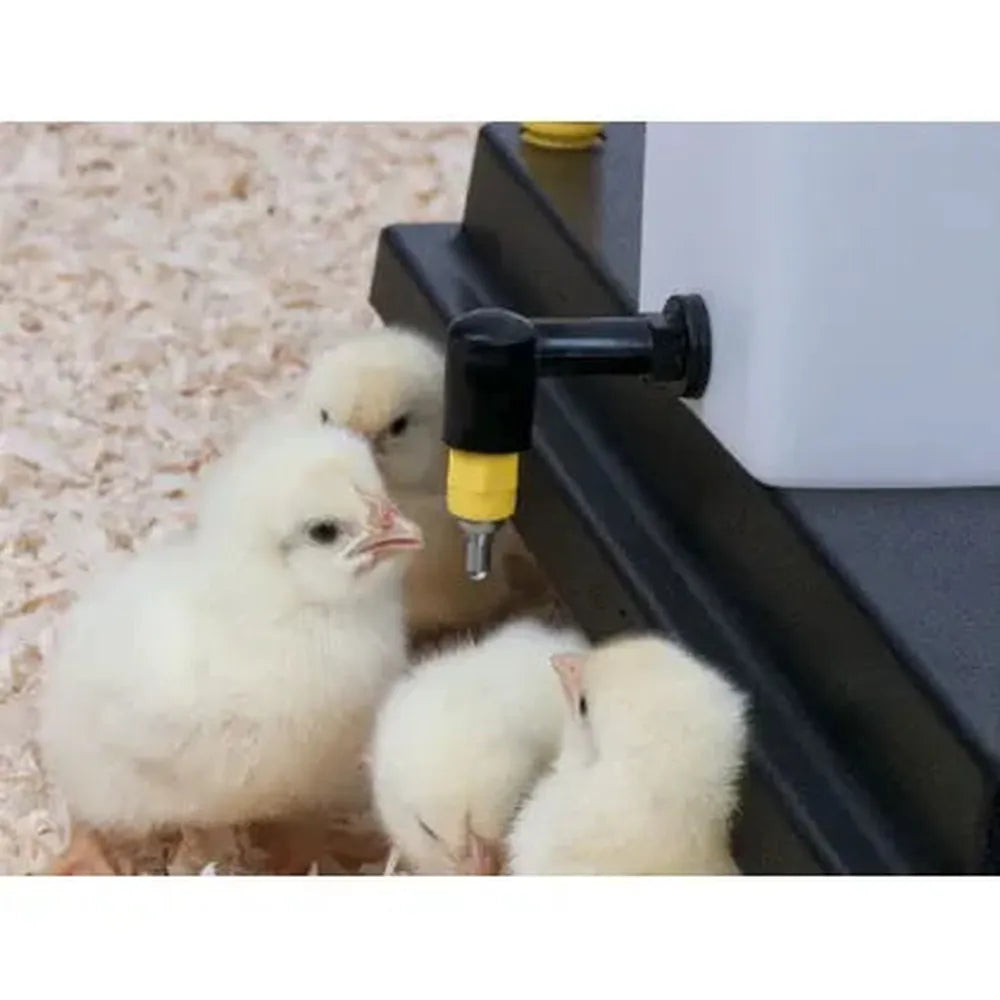 Chick Nipple Drinker Bottle 1 Litre - The Chook Barn