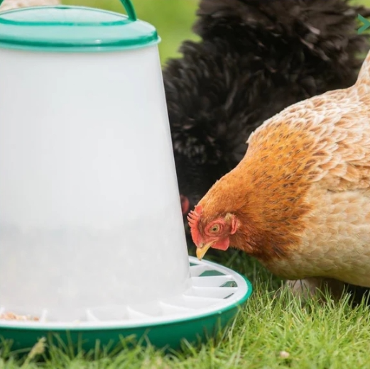 Chicken Feeder 10kg with Handle & Cover - The Chook Barn