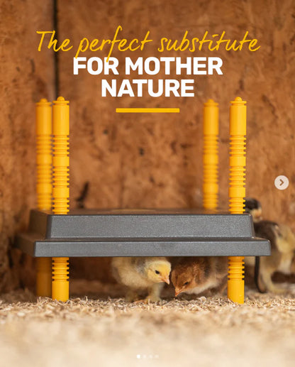 Comfort Chicks Heat Plate 25 x 25cm - The Chook Barn