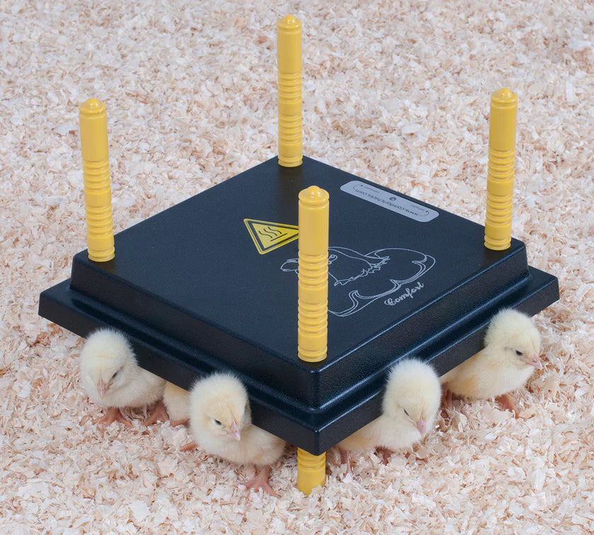 Comfort Chicks Heat Plate 25 x 25cm - The Chook Barn