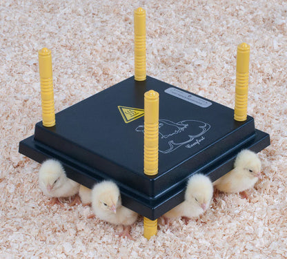 Comfort Chicks Heat Plate 25 x 25cm - The Chook Barn