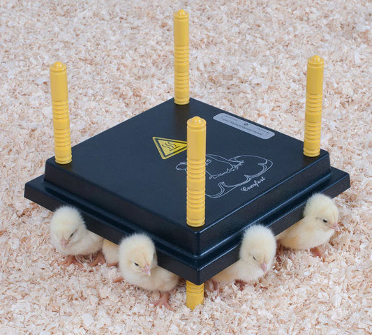 Comfort Chicks Heat Plate 25 x 25cm - The Chook Barn