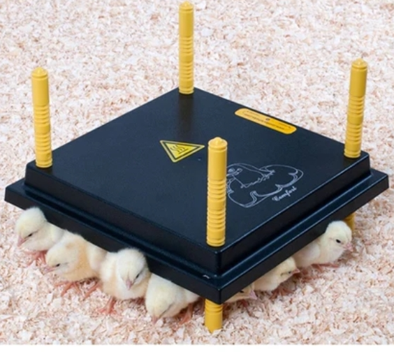 Comfort Chicks Heat Plate 30 x 30cm - The Chook Barn