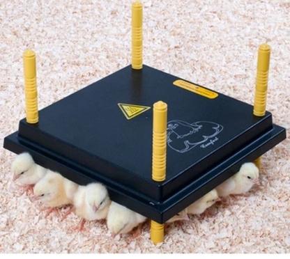 Comfort Chicks Heat Plate 30 x 30cm - The Chook Barn