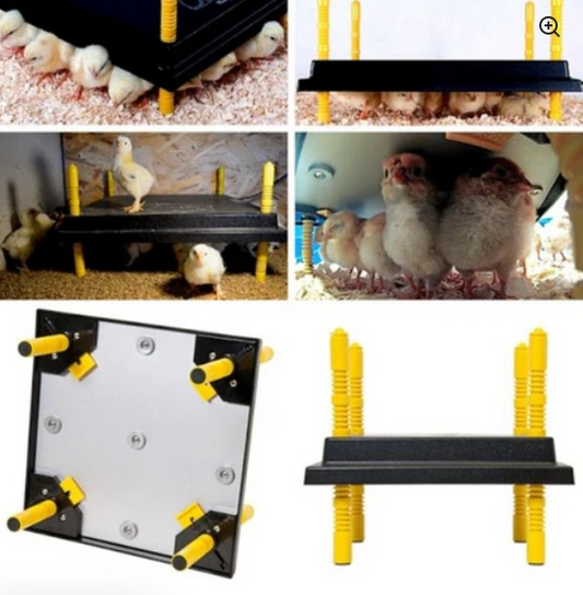 Comfort Chicks Heat Plate 30 x 30cm - The Chook Barn