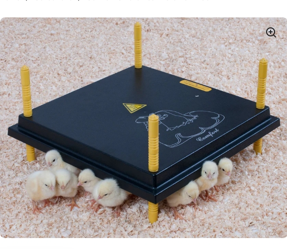 Comfort Chicks Heat Plate 40 x 40cm - The Chook Barn