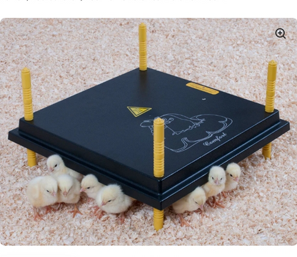 Comfort Chicks Heat Plate 40 x 40cm - The Chook Barn