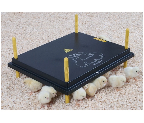 Comfort Chicks Heat Plate 50 x 40cm - The Chook Barn
