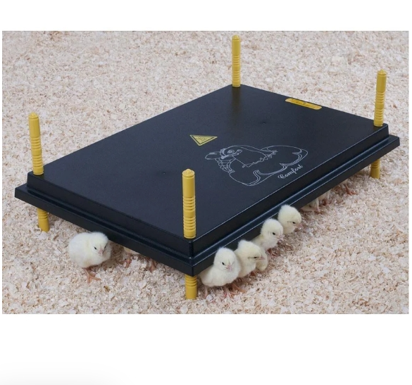 Comfort Chicks Heat Plate 60 x 40cm - The Chook Barn