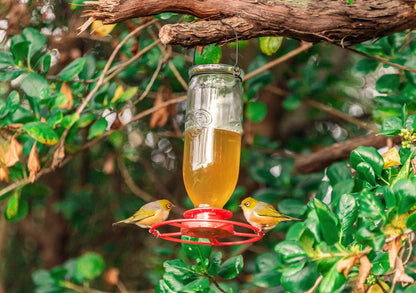 Topflite Nectar Feeder by Topflite LTD