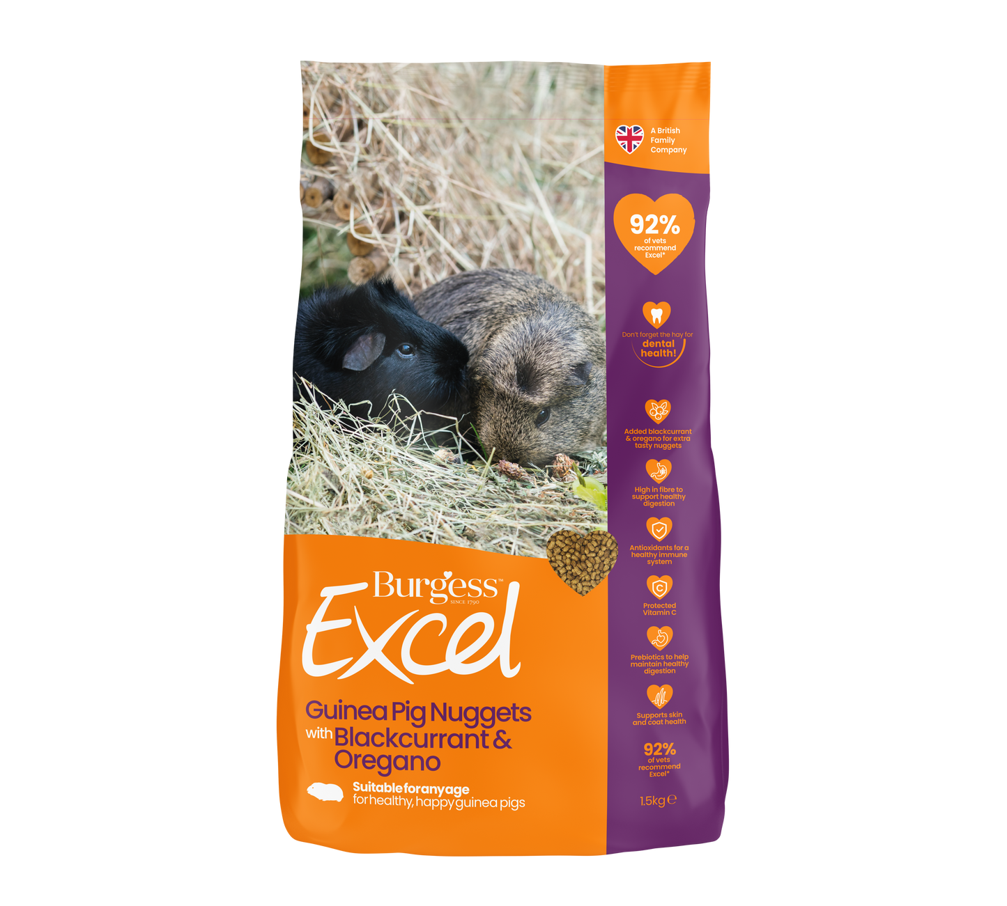 Topflite Burgess Excel Adult Guinea Pig Nuggets with Blackcurrant & Oregano by Topflite LTD