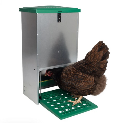 Feed-o-Matic Automatic Chicken Feeder 20kg - The Chook Barn