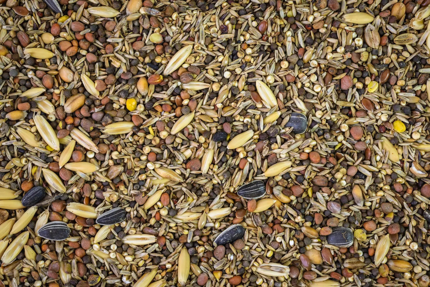 Topflite Wild Finch Mix by Topflite LTD