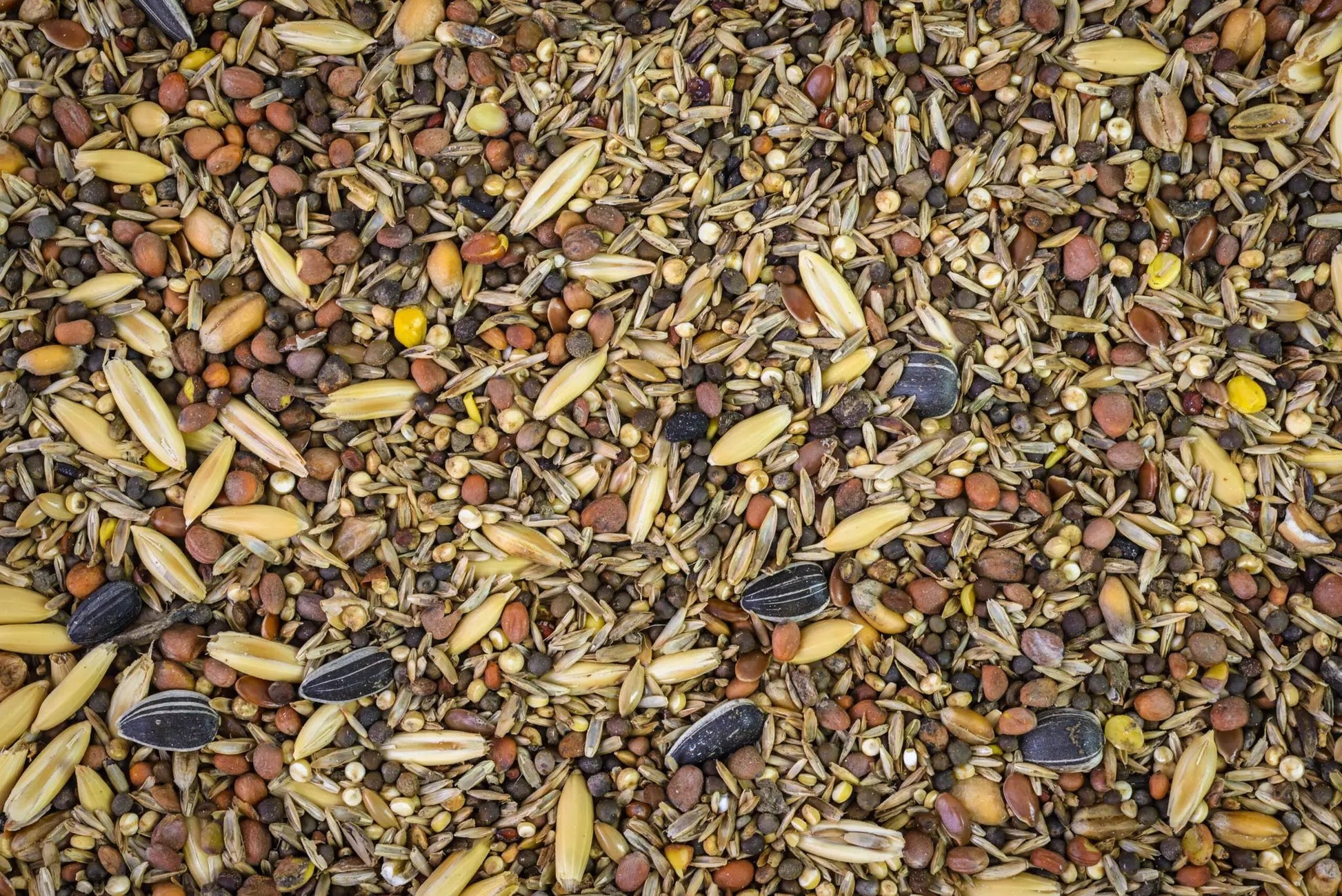 Topflite Wild Finch Mix by Topflite LTD