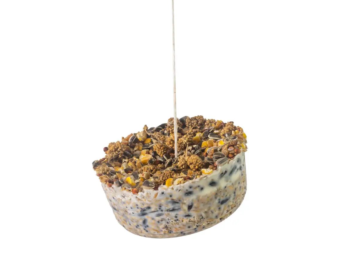 Topflite Wild Bird Gourmet Hanging Treat by Topflite LTD
