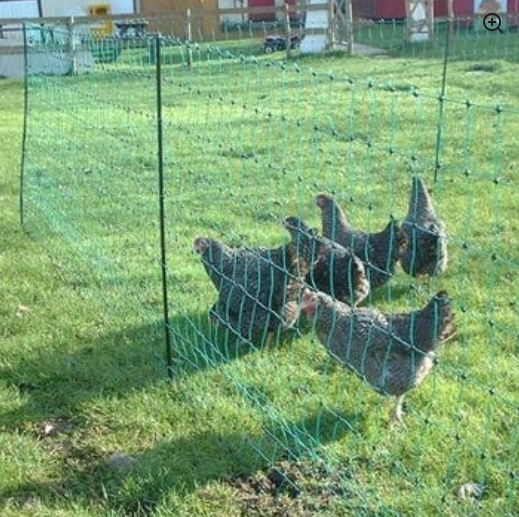 Hotline Poultry 25m Fence Set - The Chook Barn