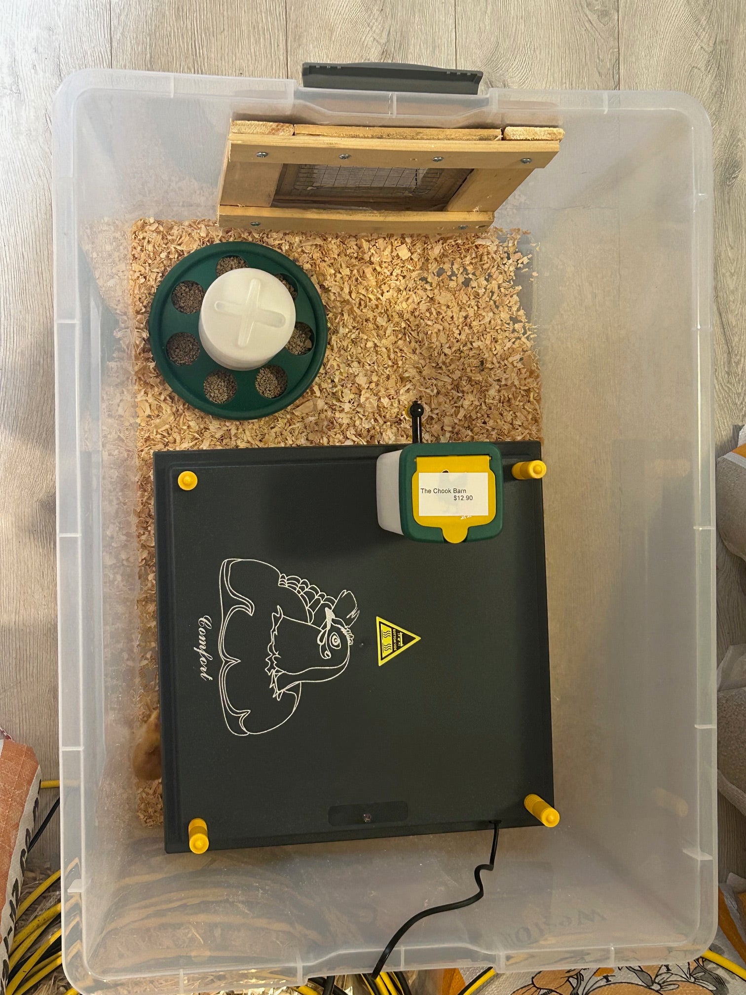 Hy-Line Chick Starter Bundle For Day Old Chicks Guaranteed Female - The Chook Barn
