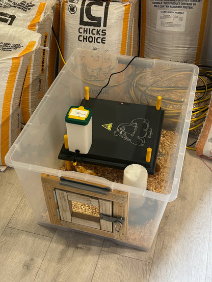 Hy-Line Chick Starter Bundle For Day Old Chicks Guaranteed Female - The Chook Barn