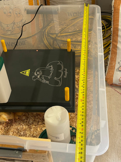 Hy-Line Chick Starter Bundle For Day Old Chicks Guaranteed Female - The Chook Barn