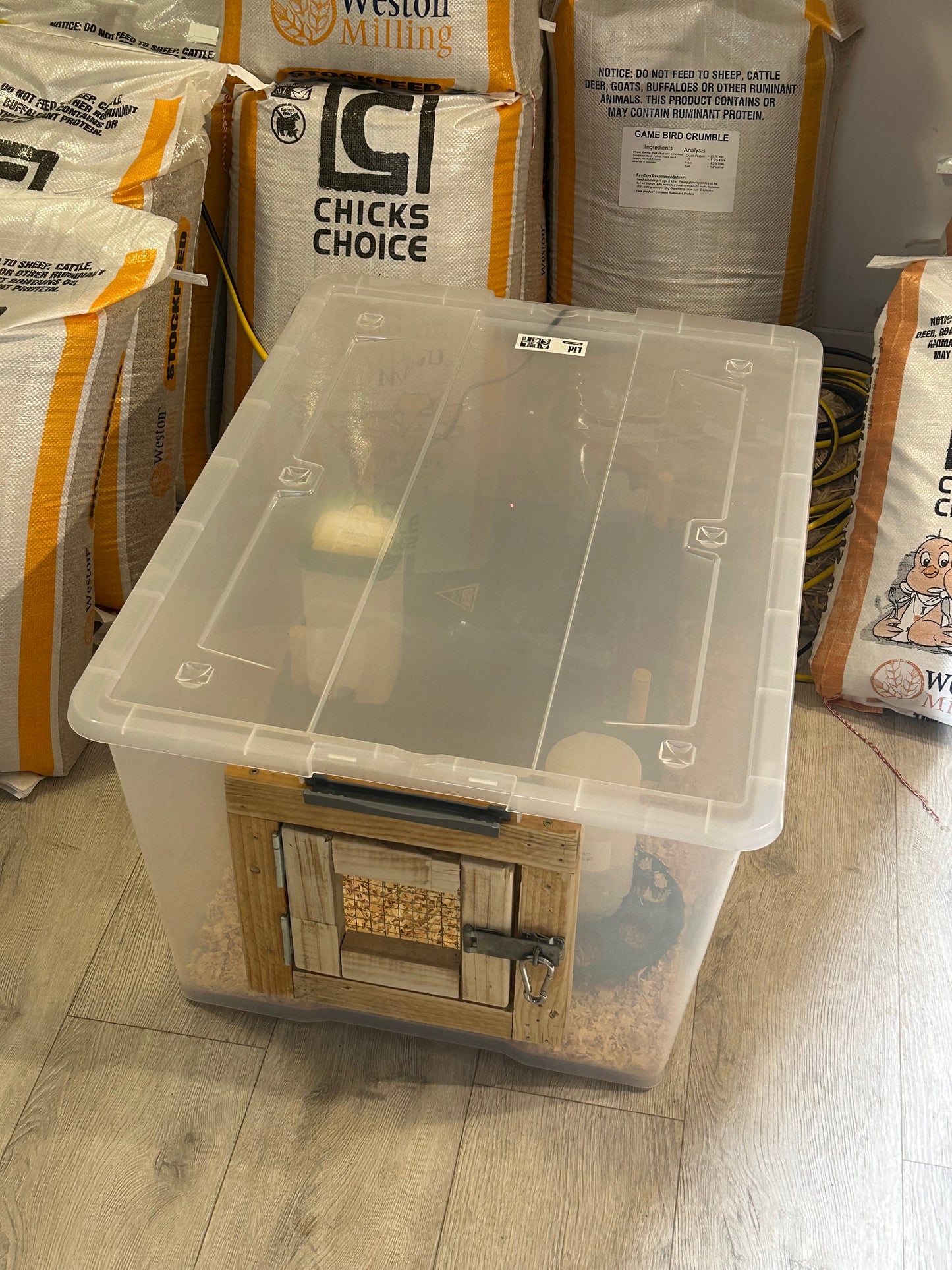 Hy-Line Chick Starter Bundle For Day Old Chicks Guaranteed Female - The Chook Barn