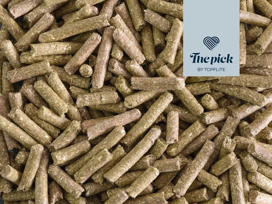 Topflite The Pick – Fibre Feast for Guinea Pigs by Topflite LTD