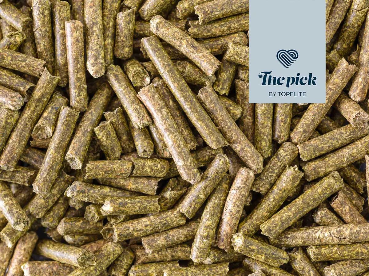 Topflite The Pick – Pressed Lucerne Hay by Topflite LTD