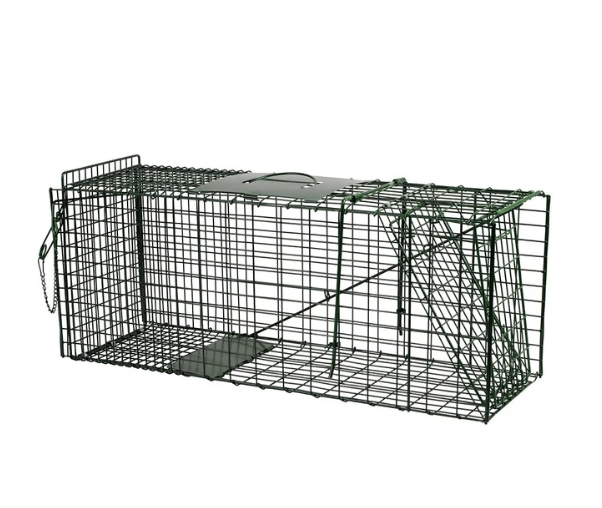 Live Capture Cage Trap Large Single Entry - The Chook Barn