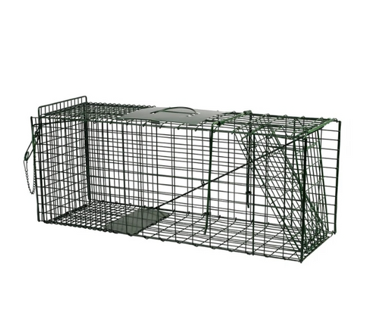 Live Capture Cage Trap Large Single Entry - The Chook Barn