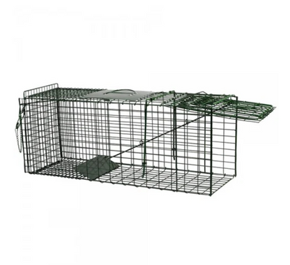 Live Capture Cage Trap Large Single Entry - The Chook Barn