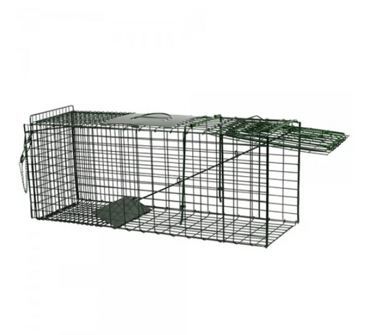Live Capture Cage Trap Large Single Entry - The Chook Barn