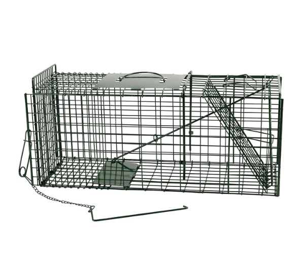 Live Capture Cage Trap Small Single Entry - The Chook Barn
