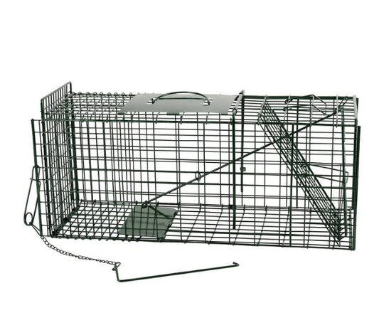 Live Capture Cage Trap Small Single Entry - The Chook Barn