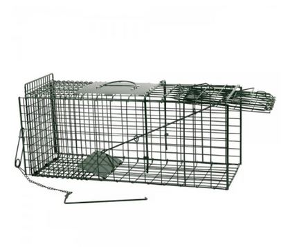 Live Capture Cage Trap Small Single Entry - The Chook Barn