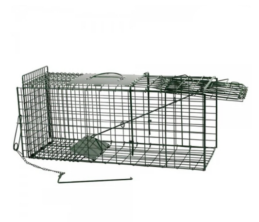 Live Capture Cage Trap Small Single Entry - The Chook Barn