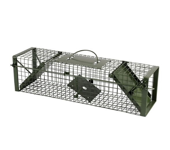 Live Capture Trap Double Entry Small - The Chook Barn