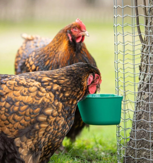 Mesh Feeder/Drinker clip on various sizes - The Chook Barn