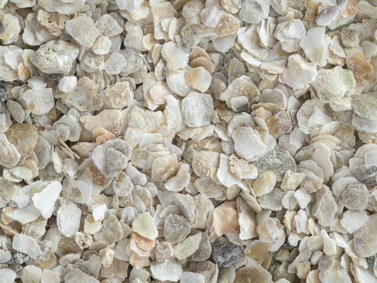 New Zealand Oyster Shell Coarse Grit for Laying Hens Calcium Supplement - The Chook Barn