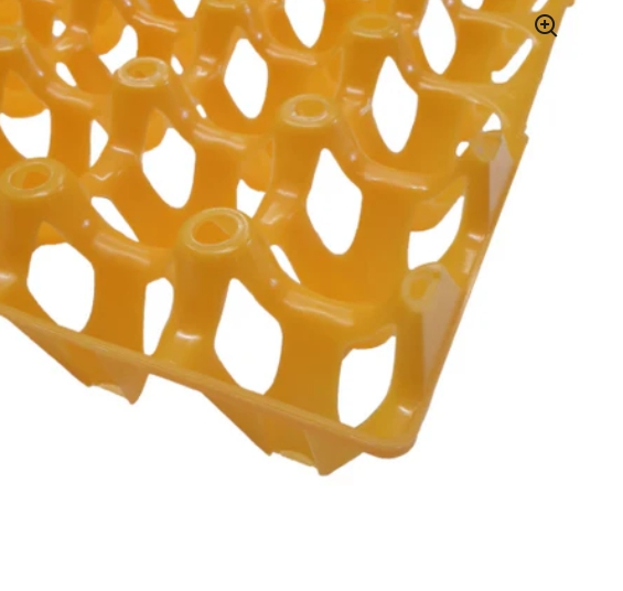 Plastic Egg Tray Single multiple color's - The Chook Barn
