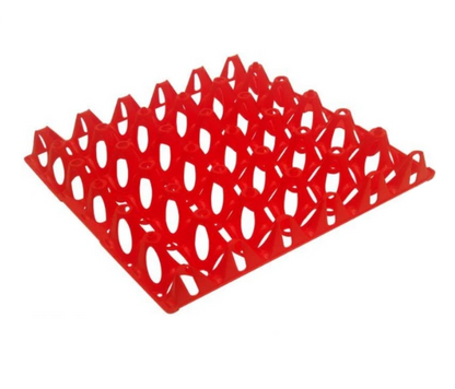 Plastic Egg Tray Single multiple color's - The Chook Barn