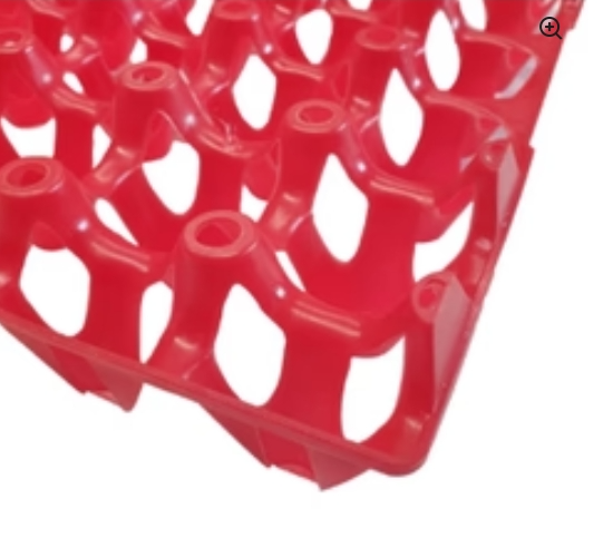 Plastic Egg Tray Single multiple color's - The Chook Barn