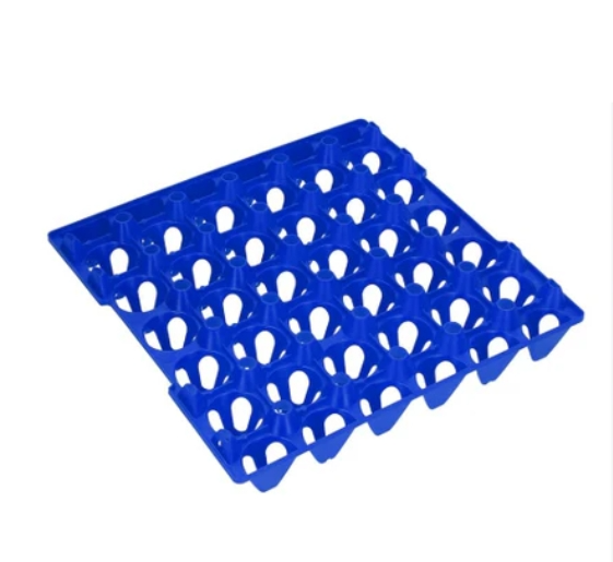 Plastic Egg Tray Single multiple color's - The Chook Barn