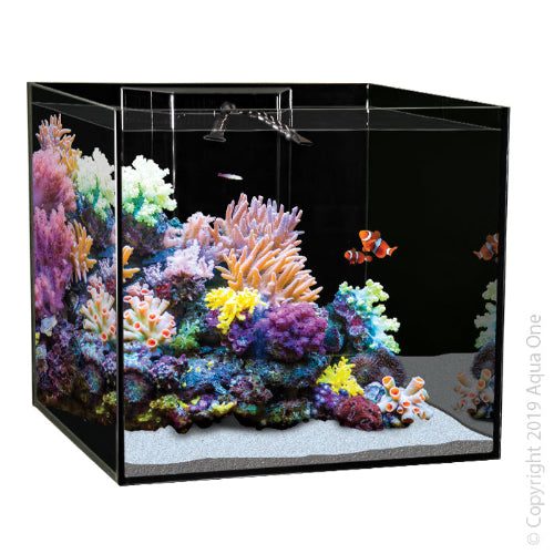Reefsys 255 Marine Tank 255L 90 L X 55 D X 53Cm H Inc Plumbing - The Chook Barn