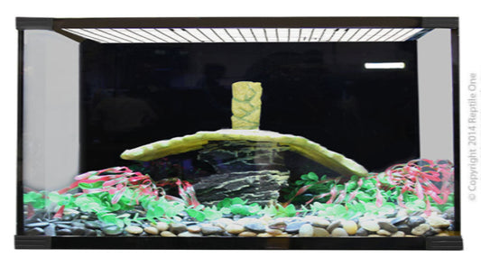 Reptile One Turtle Eco 120 Glass Tank 120X60X50Cm - The Chook Barn